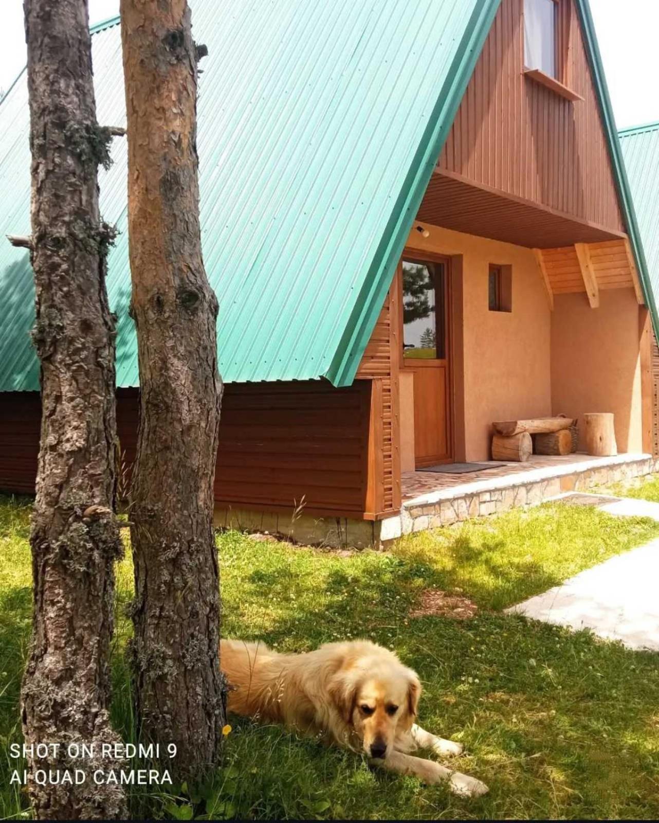 Vikendice Smolovic Villa Zabljak  Exterior photo